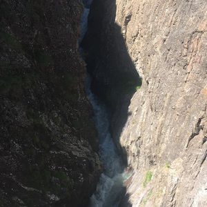 Meet your Posher, Grace